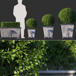 Boxwood in RH Estate Zinc Ring Square Planters 3D model