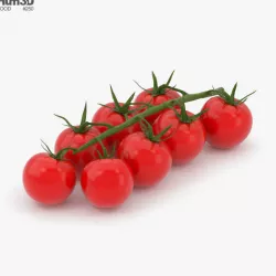 Cherry Tomato 3D model