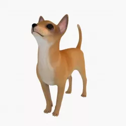 Chihuahua Dog 3D model