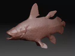 Coelacant fish 3D model