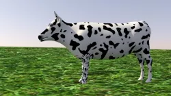 cow mammal 3D model