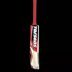 Cricket Bat 3D model