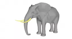Elephant 3D model