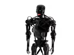 Endoskeleton Low-poly  3D model