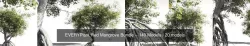 EVERYPlant Red Mangrove Bundle -- 140 Models 3D Model Collection