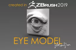 Eye Model 3D model