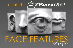 Face Parts 3D model