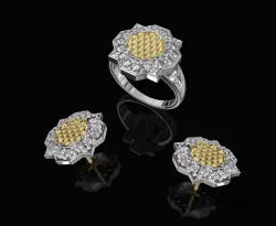 Fancy Earrings and Ring with texture 3D Model Collection