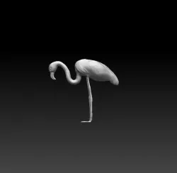 Flamingo 3D model