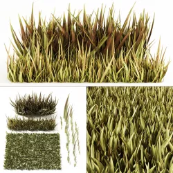 Grass 3D model