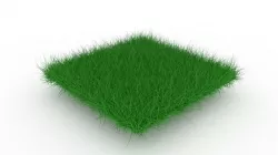Grass Low-poly  3D model