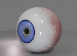  HUMAN EYE 3D model