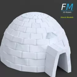 Igloo 3D model