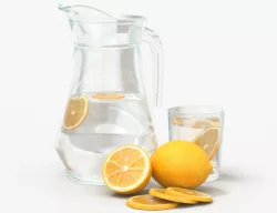 Jar with water and lemon slices 3D model
