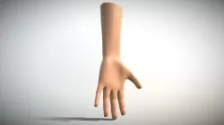 Low Poly Human Hand Low-poly  3D model