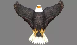 Model 223 - Animal Animated 3D model