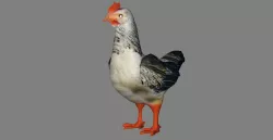 Model 225 - Animal rigged 3D model
