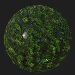 Mossy-Muddy Wetland Texture Set Texture
