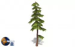 Natural Forest Pine Tree 3d model Low-poly  3D model