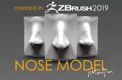 Nose Model 3D model