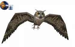 Owl rigged animated lowpoly 3d model Low-poly  3D model