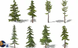 Pine Tree Collection Pack Lowpoly 3d model 