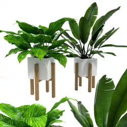 Plants set exotic 3D model