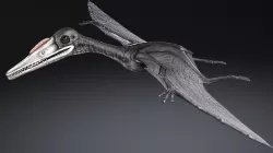 Pterodactylus 3D model