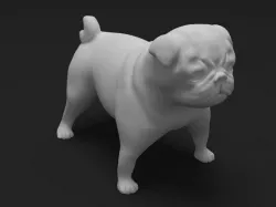 Pug