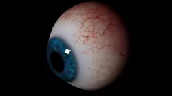 Realistic Eye with Pupil animation Low-poly  3D model