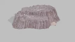 Realistic scanned optimized old stump Low-poly  3D model