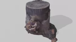 Realistic Stump scanned Low-poly  3D model