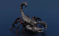 Scorpion 3D model