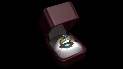 Sculpt Ring 3D model