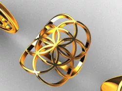 Seed of Life amulet pendant 3 cm diameter 2mm thickness 2 rings 3D model
