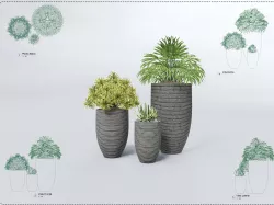 Set Plant Revit High Quality 3D models 3D model