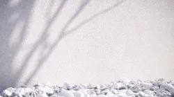 Small grain fine white plaster texture Texture