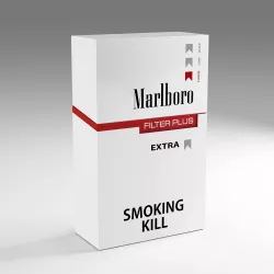 smoking 3D model