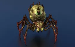 Spider 3D model