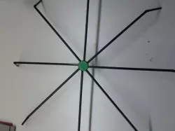 spider