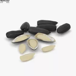 Sunflower Seeds 3D model