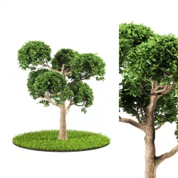 tree 119-5 3D model