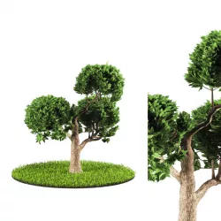 tree 119-6 3D model