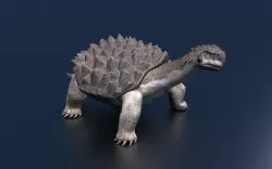 Turtle 3D model