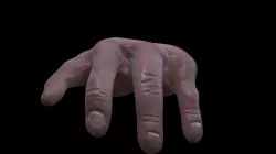 4-fingered hand LOW POLY GAME READY  Low-poly  3D model