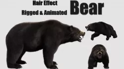 bear grizzly brown bear black bear Low-poly  3D model