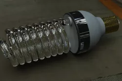 Bulb