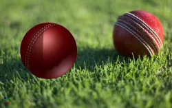 cricket ball