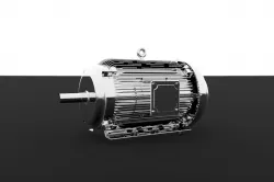 ELECTRIC MOTOR MODEL