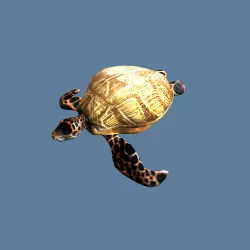 golden turtle Low-poly  3D model